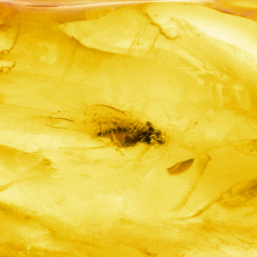 2,70 g Amber nugget with inclusion (3)