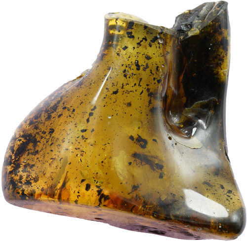 39,25 g  Amber Nugget with inclusion (1)