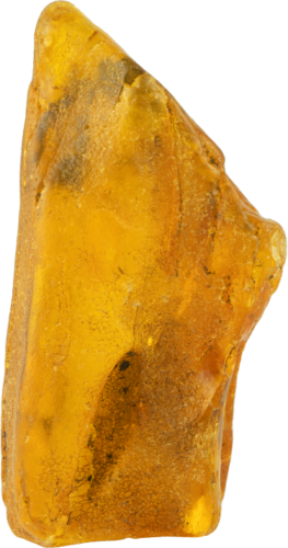 12,95 g Jūrinio Gintaro grynuolis (3)