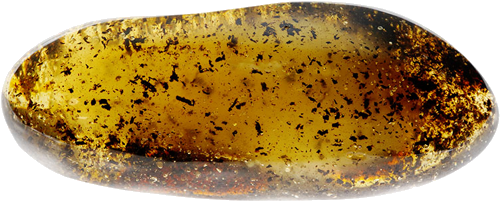 31,60 g Amber nugget (1)