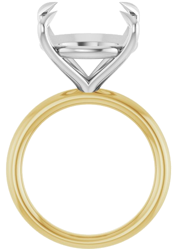 Sužadėtuvių Žiedas „Claw-Prong Solitaire“ 14k yellow/white gold Round 16mm (2)
