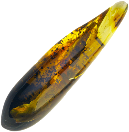 25,10  g Amber nugget (1)