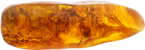 23,90 g Amber Nugget with inclusion (2)