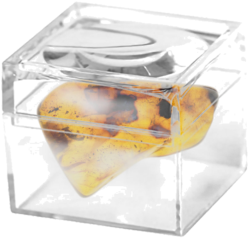 7,50 гр. Самороден кехлибар с фосил (2)