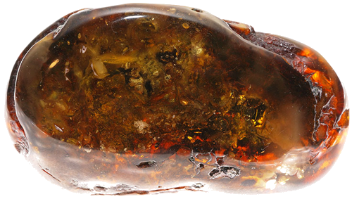 32,40 g Gintaro grynuolis (1)