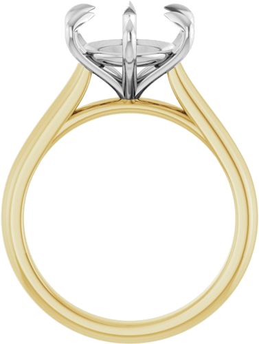 Sužadėtuvių Žiedas „Claw-Prong“ 14k yellow/white gold Oval 12mm x 10mm (2)