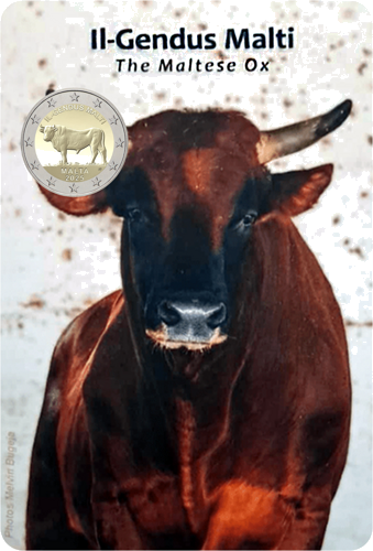 2025 Malta Ox Il Gendus Malti 2 Euro Coin BU in Card (2)