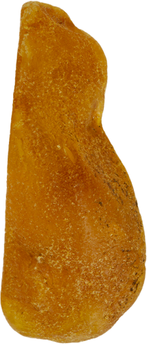 9,15 g Jūrinio Gintaro grynuolis (1)