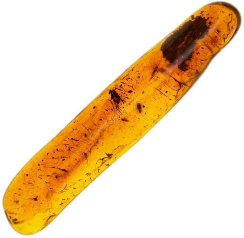 2,50 гр. Самороден кехлибар с фосил (1)