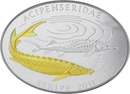 500 Tenge Sturgeon 2011 Kazakhstan silver coin (1)