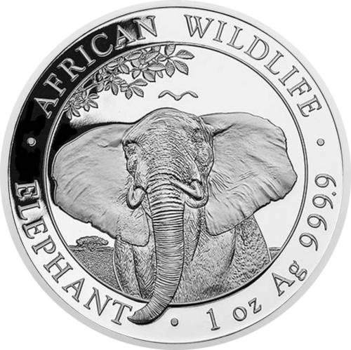 1 oz Elephants 2021 Somalia 100 Shillings Silver Coin (1)