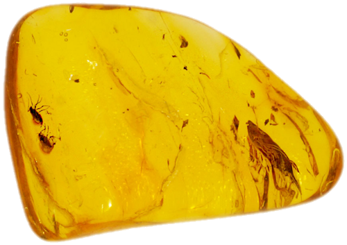 2,60 g Gintaro grynuolis su inkliuzais (1)