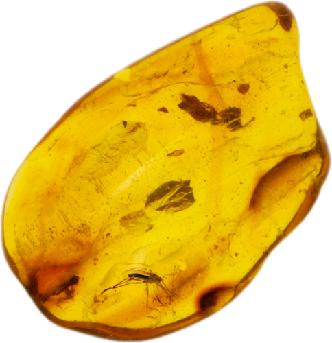 1,60 g Gintaro grynuolis su inkliuzu (1)