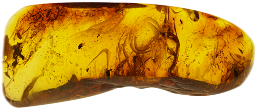 32,50 гр. Самороден кехлибар с фосил (1)