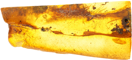 1,90  g Gintaro grynuolis su inkliuzu (2)