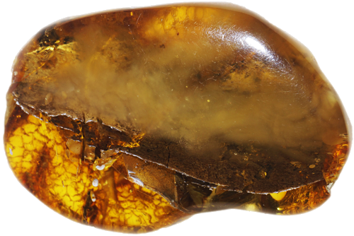 7,60 g Amber nugget (1)