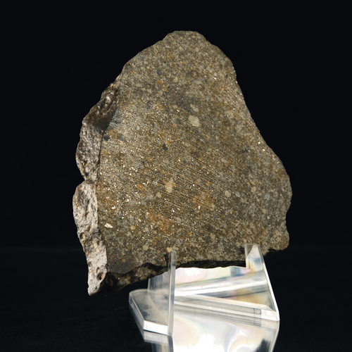 82 g Meteorite (1)