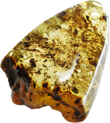 15,40 g Amber nugget (1)