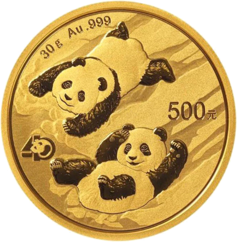 30 g Panda 2022 China 500 yuan gold coin (1)