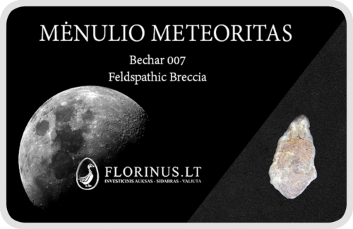Lunar meteorīts (1)