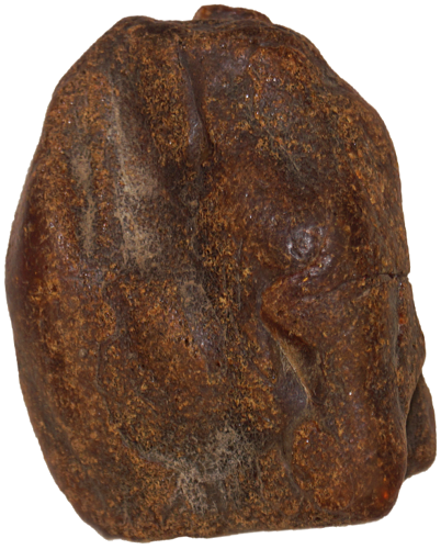 22,15 g Gintaro grynuolis (2)