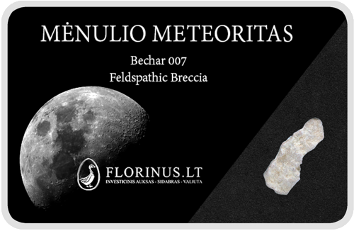 Lunar meteorīts (1)