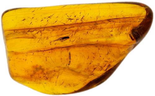 Самородок янтаря с инклюзом 2,10 г (1)