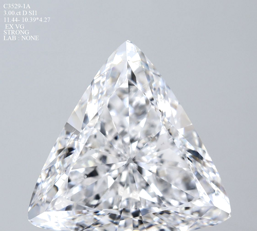 3.0 carat D-VS2 Natūralus Triangular Deimantas (1)