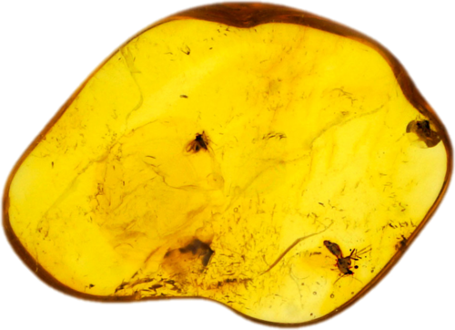 Самородок янтаря с инклюзом 2,30 г (1)
