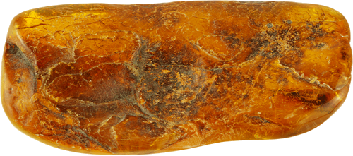15,90 g Gintaro grynuolis su inkliuzu (3)