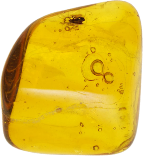 Самородок янтаря с инклюзом 0,60 г (1)