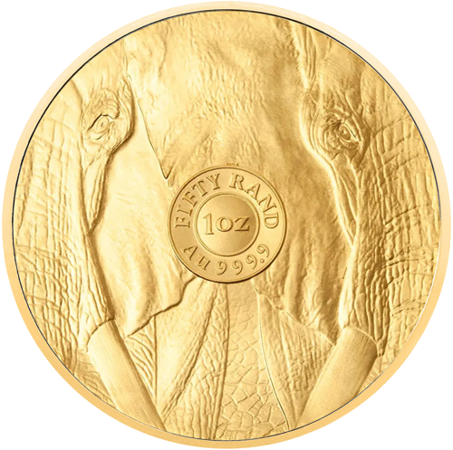 1 oz Dramblys (Didysis penketas) 2025 Pietų Afrika auksinė moneta (2)