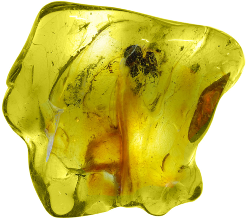 13,65 g Amber Nugget with inclusion (1)