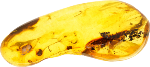 20,00 g Amber Nugget with inclusion (3)