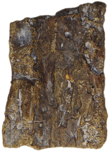292 гр. Самороден кехлибар (1)