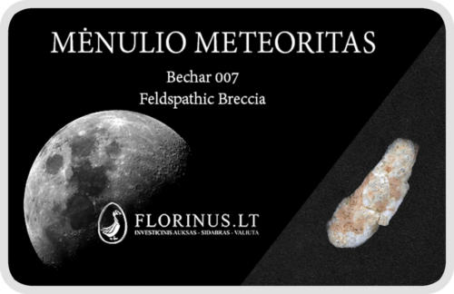 Lunar meteorīts (1)