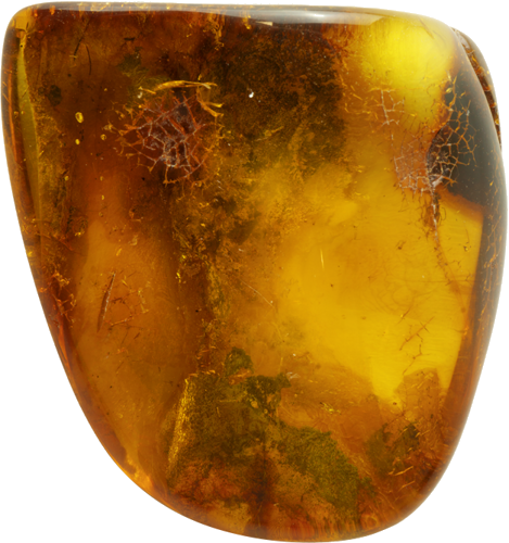 22,15 g Amber Nugget with fly inclusion (1)