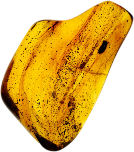 12,25 g Amber Nugget with inclusion (1)