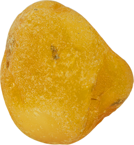 9,55 g Jūrinio Gintaro grynuolis (2)