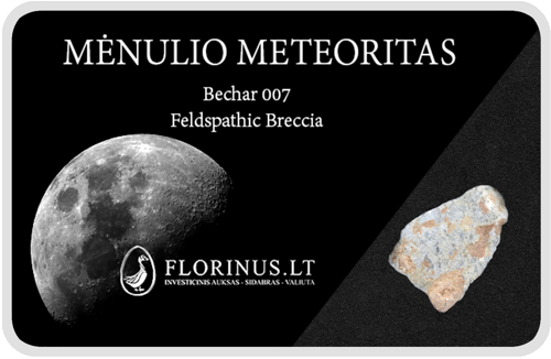 Lunar Meteorite (1)