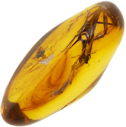 0,45 g Amber Nugget with inclusion (1)