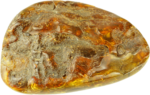 22,15 g Amber Nugget with fly inclusion (2)