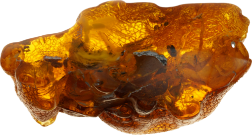 38,45 g Amber Nugget with inclusion (3)