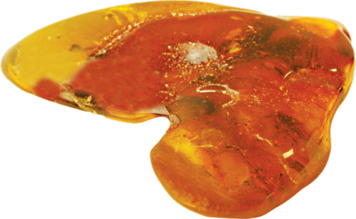 7,40 g Amber Nugget with inclusion (3)