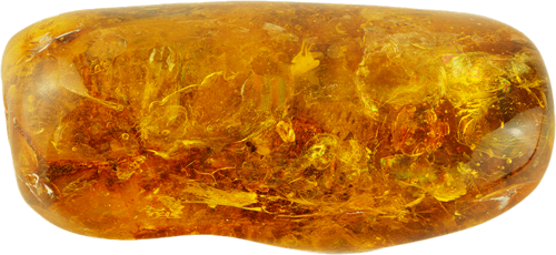 15,90 g Amber nugget with inclusion (1)