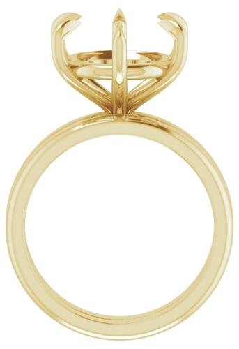 Sužadėtuvių Žiedas „Claw-Prong“ 18k yellow gold Round 12mm (7)
