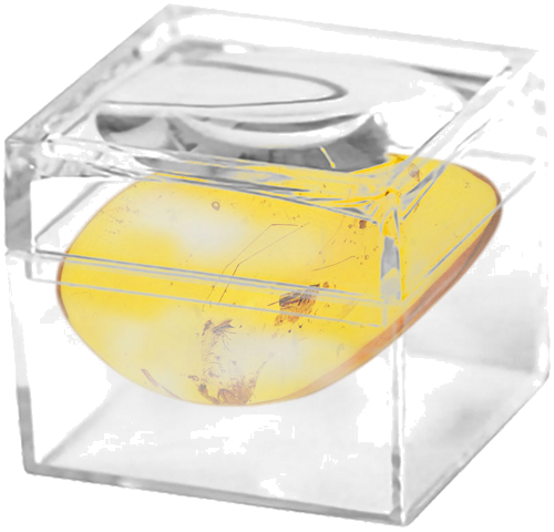 4,65 гр. Самороден кехлибар с фосил (2)