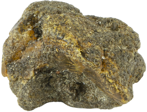 5,15 g Jūrinio Gintaro grynuolis (2)