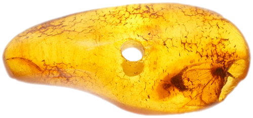 3,05 g Amber Nugget with inclusion (1)