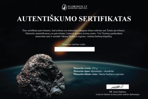 Метеорит 104 г (9)